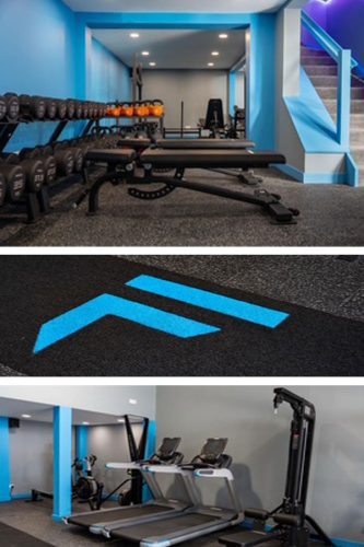 fortis performance friendly gym